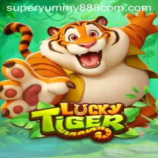 An In-depth Look at LuckyTiger and the Role of Superyummy888